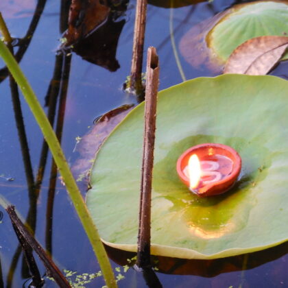 "SUNDARI"- Traditional Skin Care